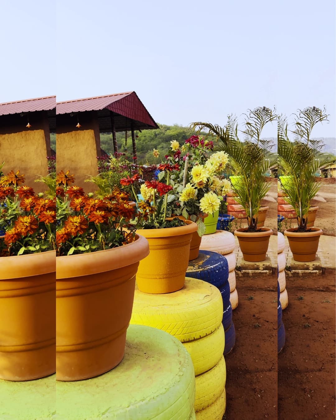 Beautiful courtyard with flower pots