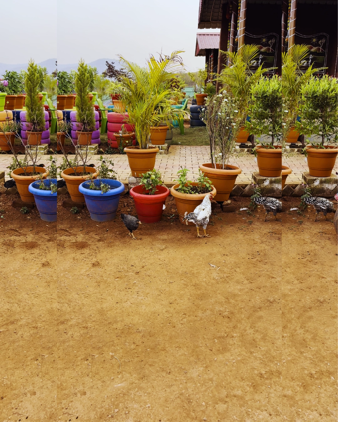 Resort grounds with decorative plants