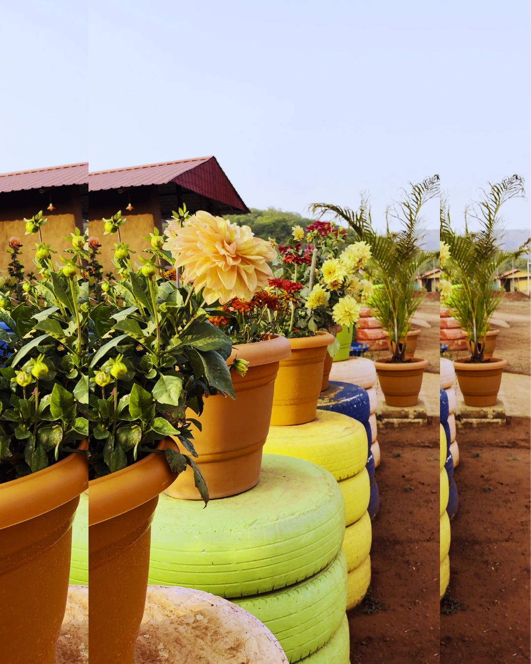 Hanging plants and garden at Pankajini Resort
